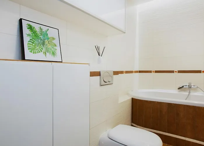 Lejlighed Zelazna By Renters *